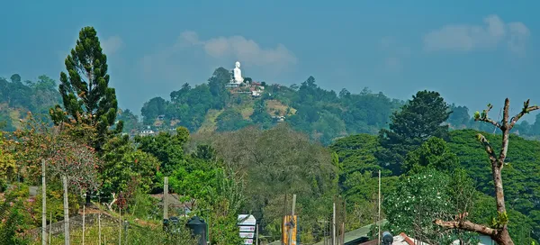 Het panorama met verre Boeddha standbeeld in Kandy Sri Lanka — Stockfoto