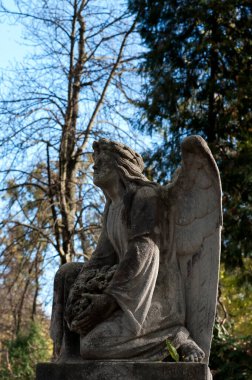 Lviv Ukrayna 'daki Lychakiv mezarlığının meleğiyle birlikte 19. yüzyıl mezar taşı.