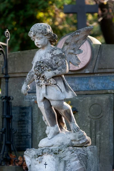 Vecchio Angelo Con Statua Fiori Sulla Tomba Nel Cimitero Lychakiv — Foto Stock