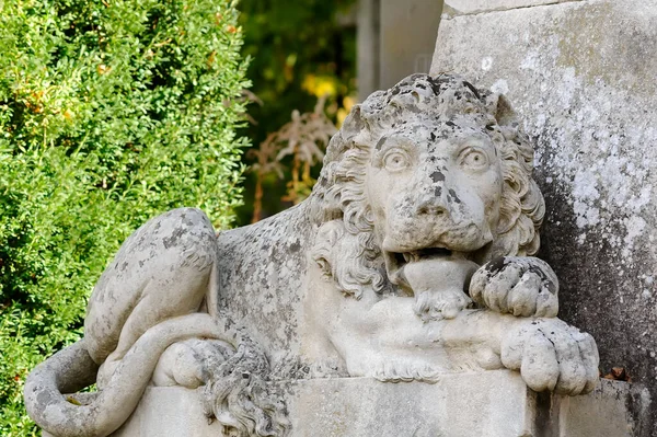 Ancienne Statue Lion Sur Tombe Dans Cimetière Lychakiv Lviv Ukraine — Photo