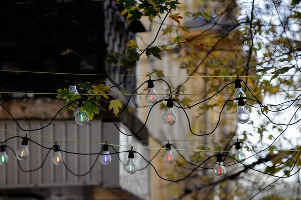 Renkli Neon Lambalardan Oluşan Sokak Lambası Çelengi — Stok fotoğraf