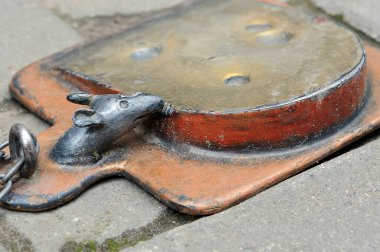 Fare yiyen peynirlere yakın, Lviv Ukrayna 'daki peynir dükkanının yanında yer dekorasyonu.