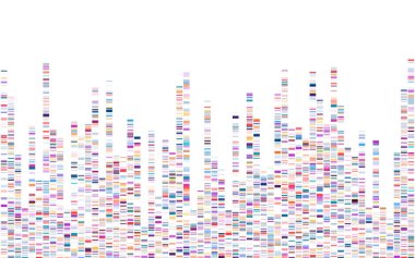 DNA testi bilgileri var. Genom dizisi haritası. 