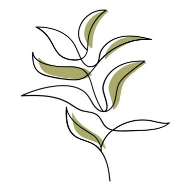 Tek çizgi çizimi, tropikal yapraklar.