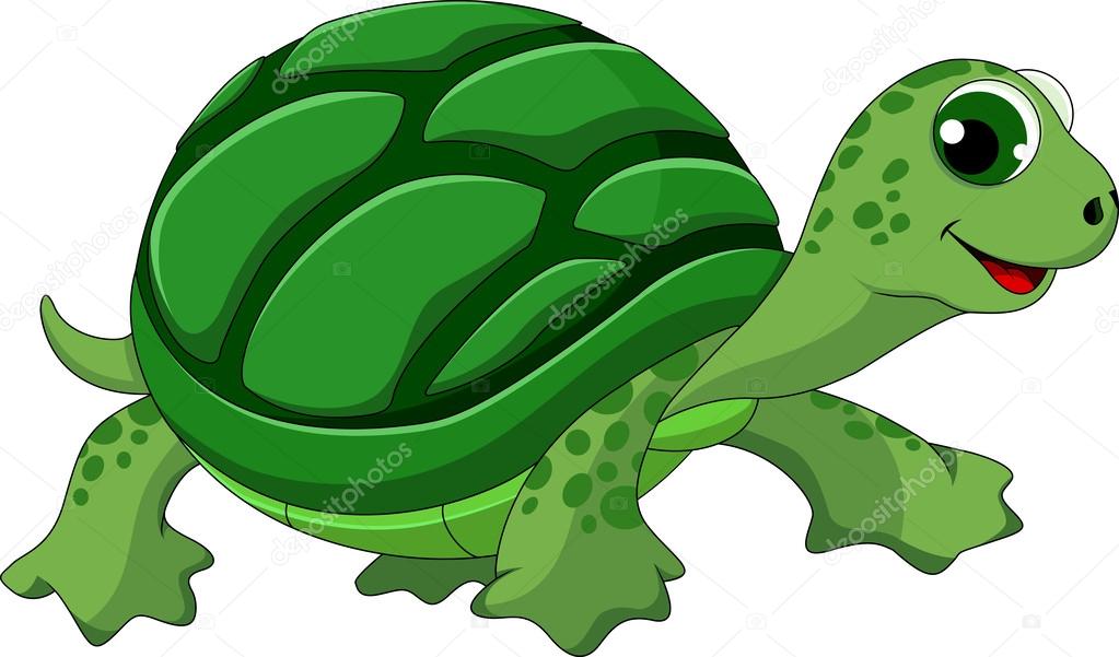 Cute turtle cartoon