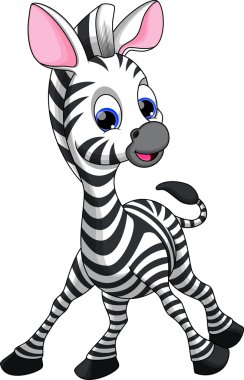Cute zebra cartoon