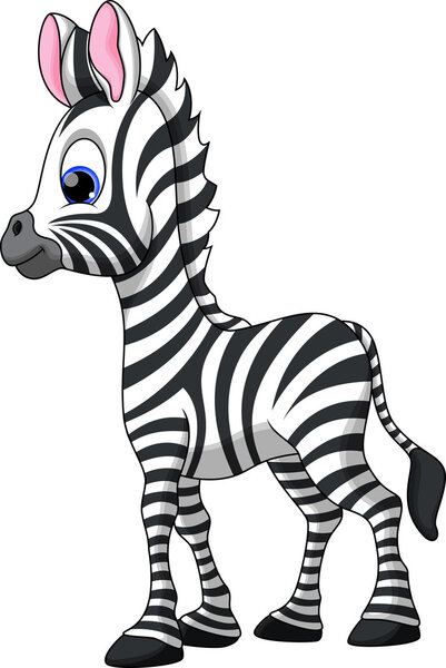 Симпатичная зебра
