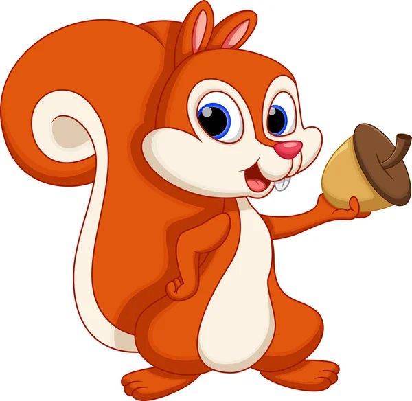 Squirrel cartoon — Stock Vector
