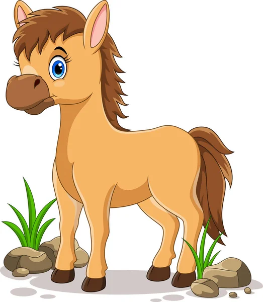 Cute Horse Cartoon White Background — Stock Vector