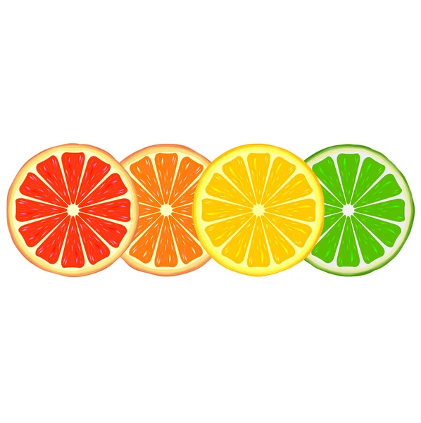 Citrusvruchten — Stockvector