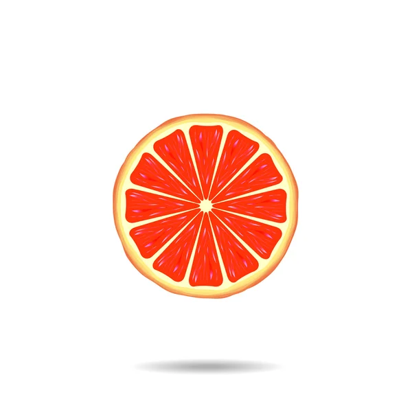 Grapefruit slice — Stockvector
