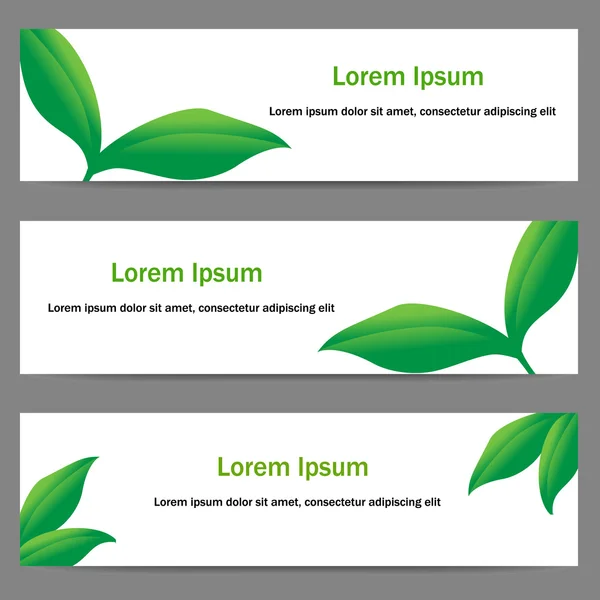 Banners with green leaves — Stock Vector