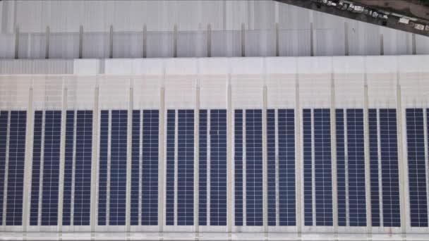安装在大型工业建筑物或仓库屋顶上的太阳能电池板的空中无人驾驶图像 可再生能源 可持续能源 可再生能源 绿色光伏发电 — 图库视频影像