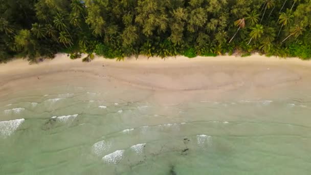 自然の空中ビュートロピカルパラダイス島のビーチは 透明水と青い空を持つビーチで楽しい夏の美しい時間をお楽しみくださいKoh Kood Kut Trat Thailand — ストック動画