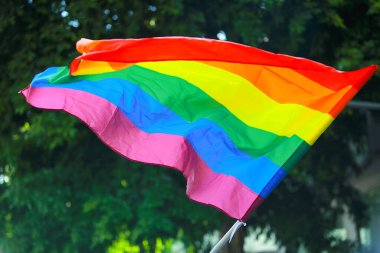 Gökkuşağı bayrağı Onur Ayı festivalini karşılıyor. Gökkuşağı gururu lezbiyen, gey, biseksüel, transseksüel ve LGBTQ gururunun sembolüdür. Haziran 'da LGBTQ sosyal hareketi.