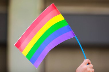 Gökkuşağı bayrağı Onur Ayı festivalini karşılıyor. Gökkuşağı gururu lezbiyen, gey, biseksüel, transseksüel ve LGBTQ gururunun sembolüdür. Haziran 'da LGBTQ sosyal hareketi.