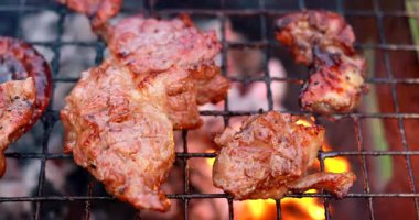 Baharatlı salamura sirke salamurası ve baharatlı et, yaz pikniği için açık havada odun ateşinde barbekü ızgarasında akşam yemeği için restoranın mutfağının önünde pişiriliyor.