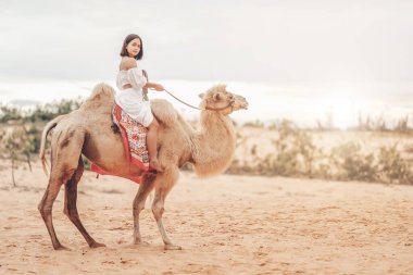 Beyaz elbiseli Asyalı genç kadın turist portresi ve develerle seyahat eden turistler Mui Ne çölünde, Vietnam 'da popülerdir.