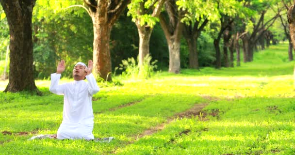 Religious Muslim Man Traditional Kandura Praying Outdoor Quiet Nature Environment — Vídeo de Stock