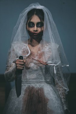 Asyalı bir kadının portresi hayalet gelin ölümü ve kan korkunç korku sahnesi arka plan, Cadılar Bayramı festivali konsepti