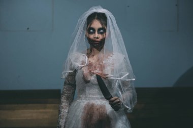 Asyalı bir kadının portresi hayalet gelin ölümü ve kan korkunç korku sahnesi arka plan, Cadılar Bayramı festivali konsepti