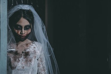 Asyalı bir kadının portresi hayalet gelin ölümü ve kan korkunç korku sahnesi arka plan, Cadılar Bayramı festivali konsepti