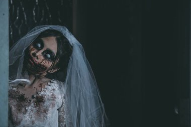 Asyalı bir kadının portresi hayalet gelin ölümü ve kan korkunç korku sahnesi arka plan, Cadılar Bayramı festivali konsepti