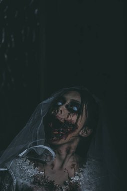 Asyalı bir kadının portresi hayalet gelin ölümü ve kan korkunç korku sahnesi arka plan, Cadılar Bayramı festivali konsepti