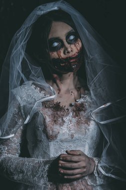 Asyalı bir kadının portresi hayalet gelin ölümü ve kan korkunç korku sahnesi arka plan, Cadılar Bayramı festivali konsepti