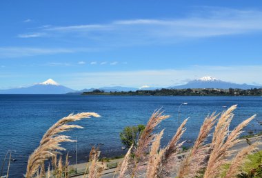 volkanlar osorno ve calbucco, patagonia, Şili