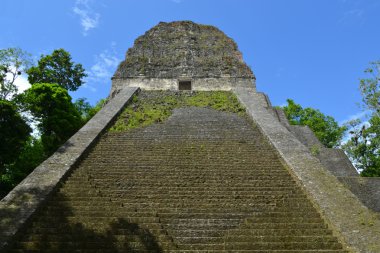 Maya Tapınağı nr beş içinde tikal, guatemala