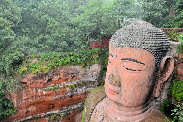 楽山のクローズ アップで世界の最も大きい仏 — ストック写真