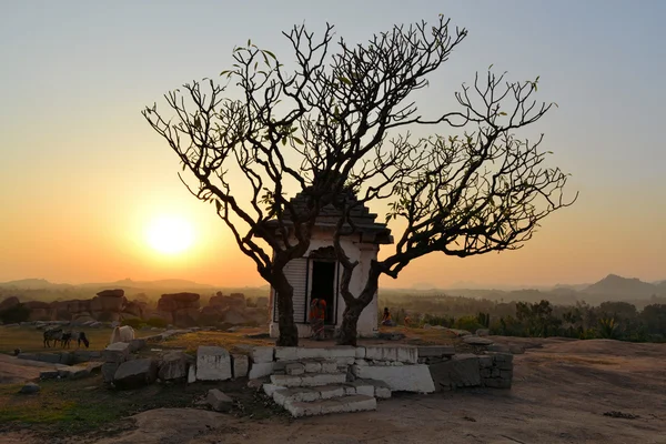 Antiguas ruinas con silueta de árbol al atardecer — Foto de Stock