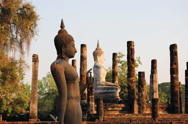 Ancient buddha statue. Sukhothai Historical Park — Stock Photo, Image