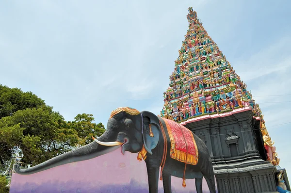 Slon přijít na ostrově hinduistický chrám, Srí lanka — Stock fotografie