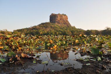 Sigiriya Lion Rock Fortress in Sri Lanka clipart