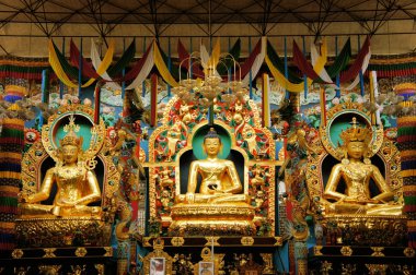 Tibet bir manastırda Buda heykelleri