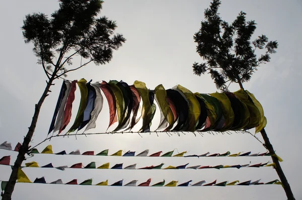 Banderas tibetanas de oración entre dos árboles —  Fotos de Stock