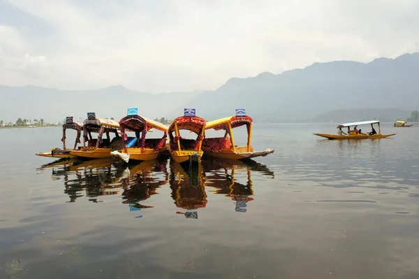 Shikaře lodě v dal jezero, Srinagaru, Kašmír Royalty Free Stock Obrázky