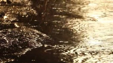 Yaz günbatımında kaldırıma düşen yağmur