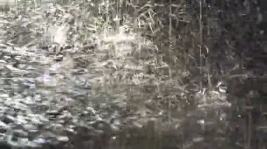Yaz günbatımında kaldırıma düşen yağmur