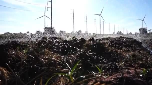 带有风力涡轮机的自动浇水系统的花园景观画面 — 图库视频影像