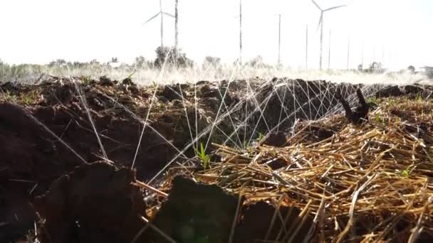 風力タービンを背景にした自動散水システムを備えた庭園の風光明媚な映像 — ストック動画