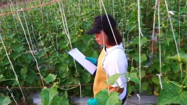 Filmaufnahmen Einer Asiatin Die Auf Einem Biobauernhof Arbeitet — Stockvideo
