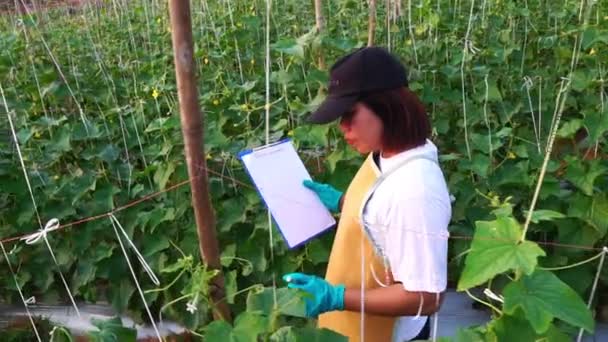 在有机农场工作的亚洲妇女的形象 — 图库视频影像