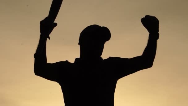Siluet Laki Laki Memegang Bisbol Kelelawar Terhadap Matahari Terbenam — Stok Video