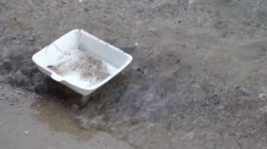 close-up footage of plastic pollution on sandy beach