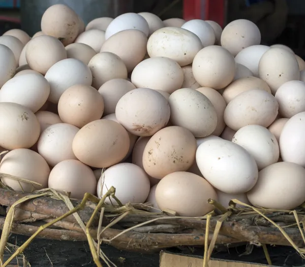 Hen Eggs stock — Stock Photo, Image