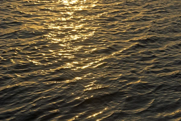 Zlaté moře — Stock fotografie