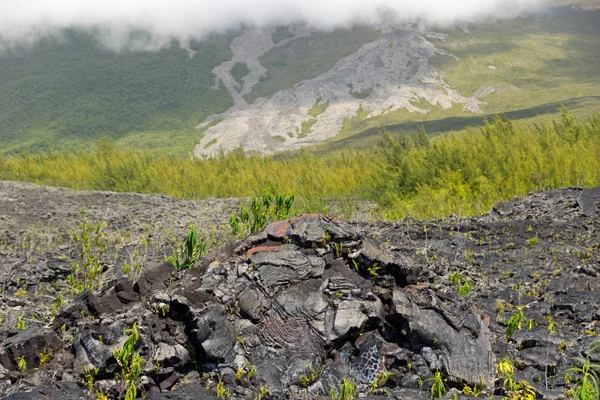 Lava field — Stock Photo, Image